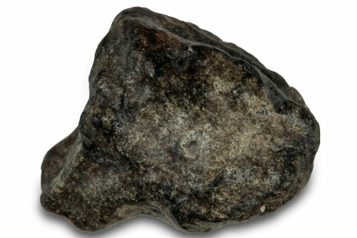 Martian Shergottite Meteorite ( g) - Amgala #301008